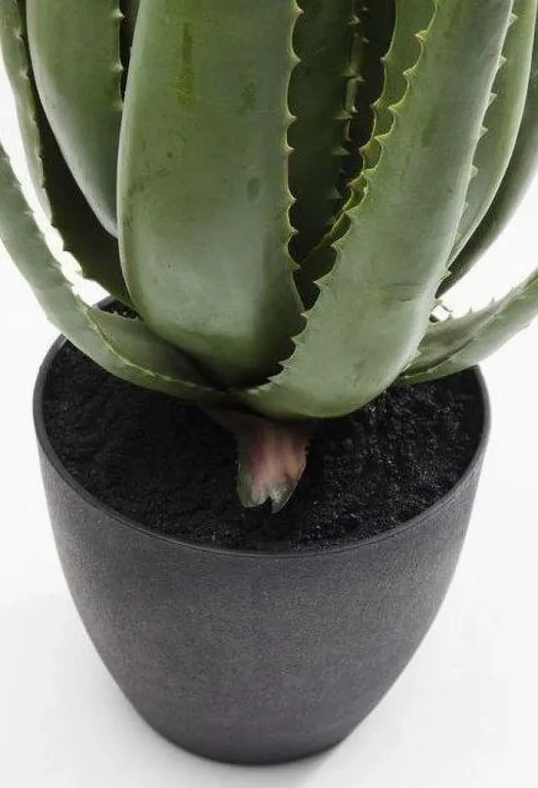 Tekokasvit>KARE Design Aloe Tekokasvi 69cm