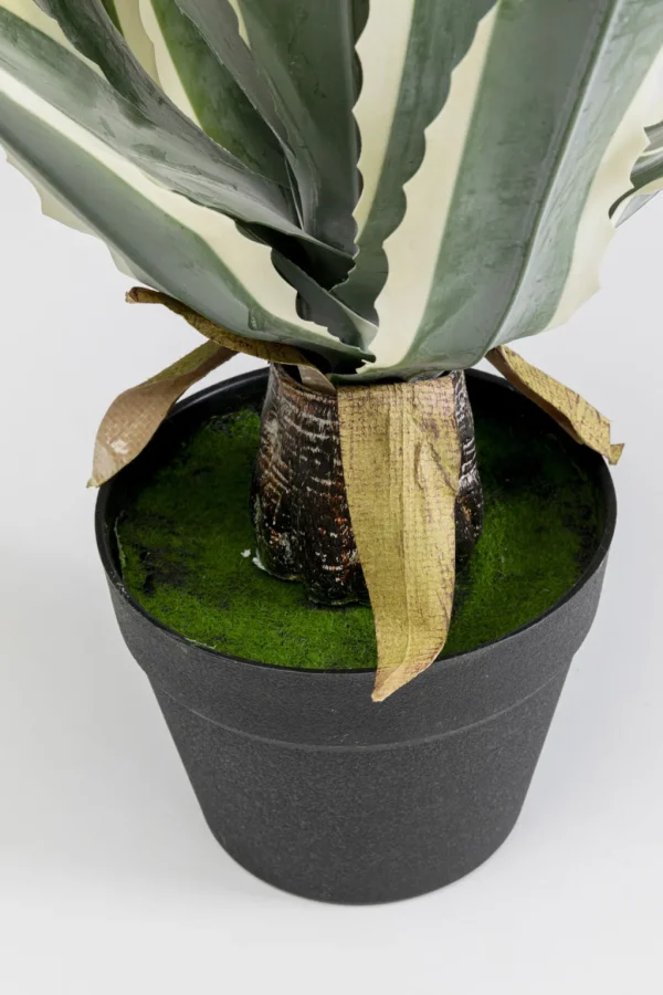 Tekokasvit>KARE Design Agave Tekokasvi 50cm