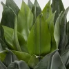 Tekokasvit>KARE Design Agave Tekokasvi 120cm