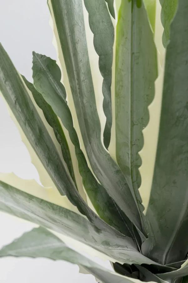 Tekokasvit>KARE Design Agave Tekokasvi 50cm