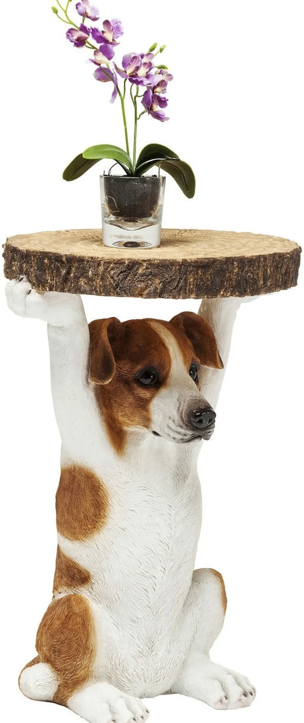 animal_mr_jack_koira_sivupyt_cm_7.webp Sohvapöydät | Olohuone>KARE Design Animal Mr. Jack Koira Sivupöytä Ø33cm