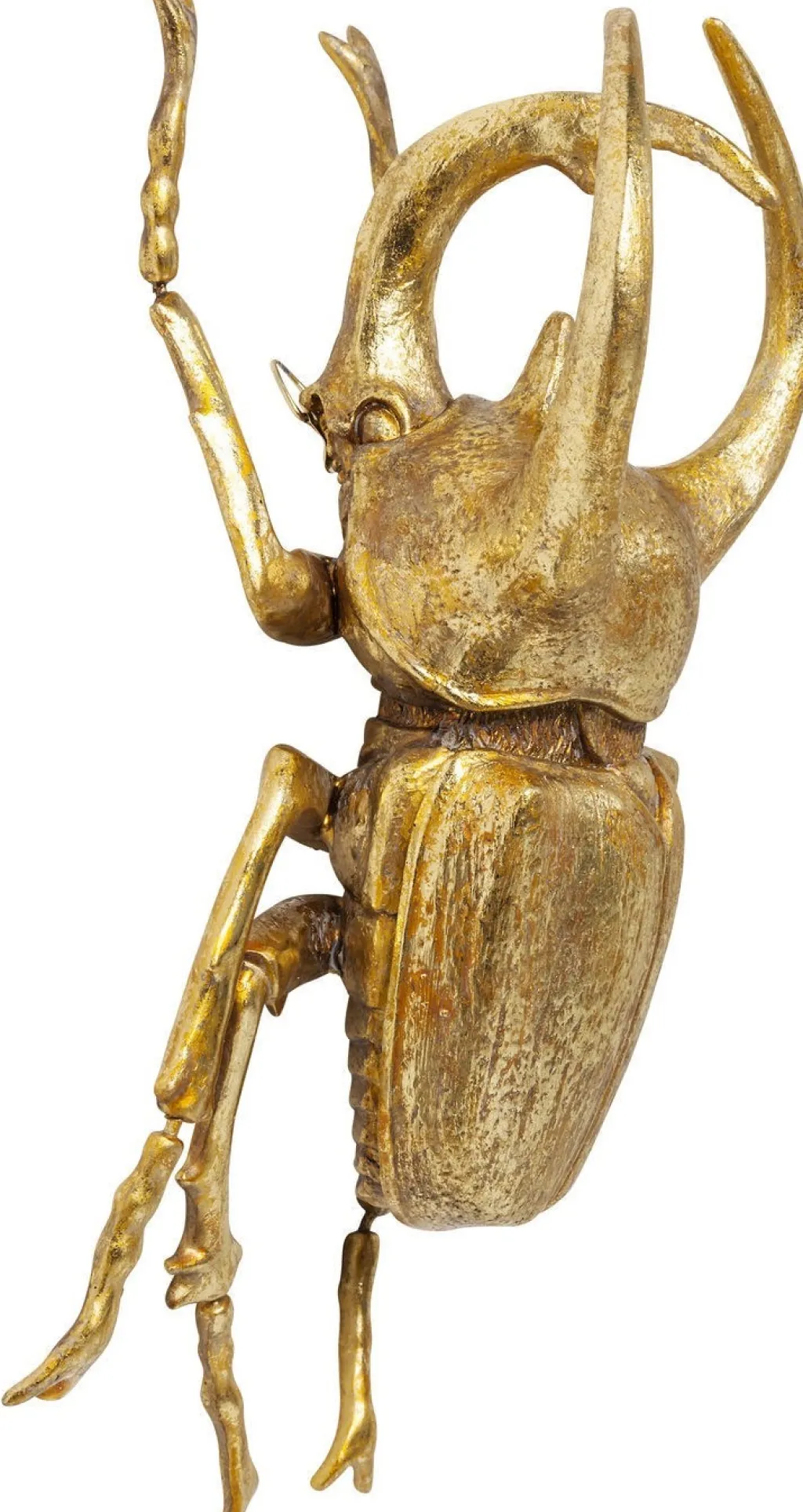 atlas_beetle_kovakuoriainen_seinkoriste_kulta_2.webp Seinäkoristeet>KARE Design Atlas Beetle Kovakuoriainen Seinäkoriste, Kulta