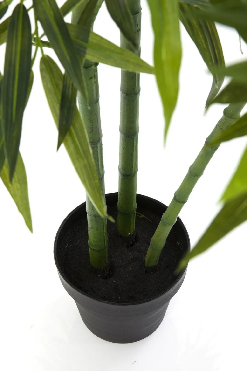 bamboo_tree_tekokasvi_cm_2.webp Tekokasvit>KARE Design Bamboo Tree Tekokasvi 200cm