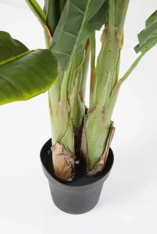 Tekokasvit>KARE Design Banana Tree Tekokasvi 180cm