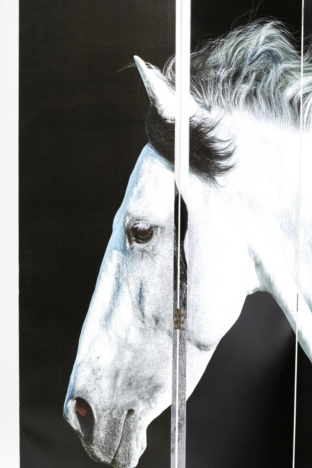 beauty_horses_tilanjakaja_sermi_xcm_1.webp Tilanjakajat>KARE Design Beauty Horses Tilanjakaja, Sermi 160x180cm