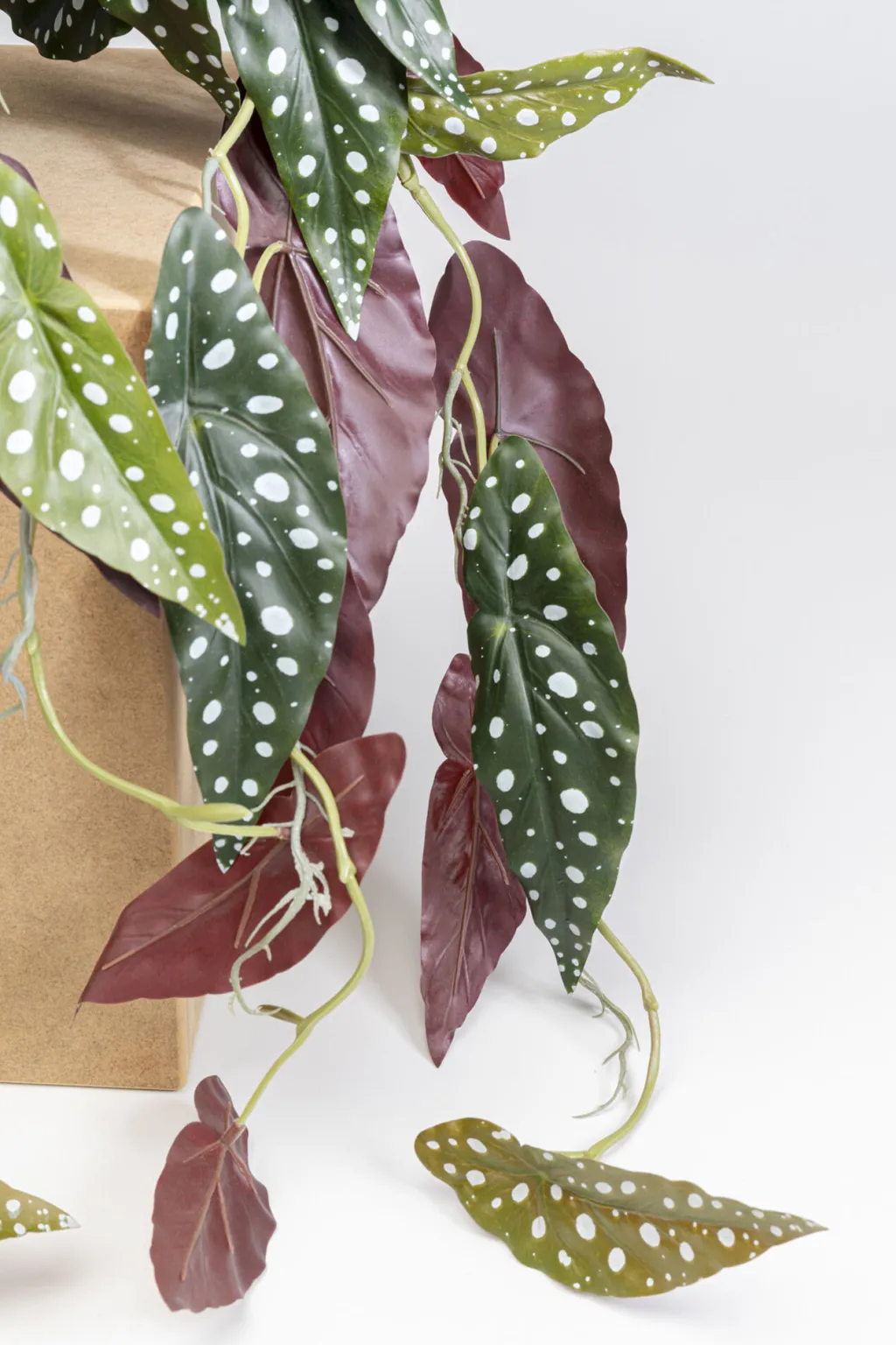 begonia_tekokasvi_cm_2.webp Tekokasvit>KARE Design Begonia Tekokasvi 45cm