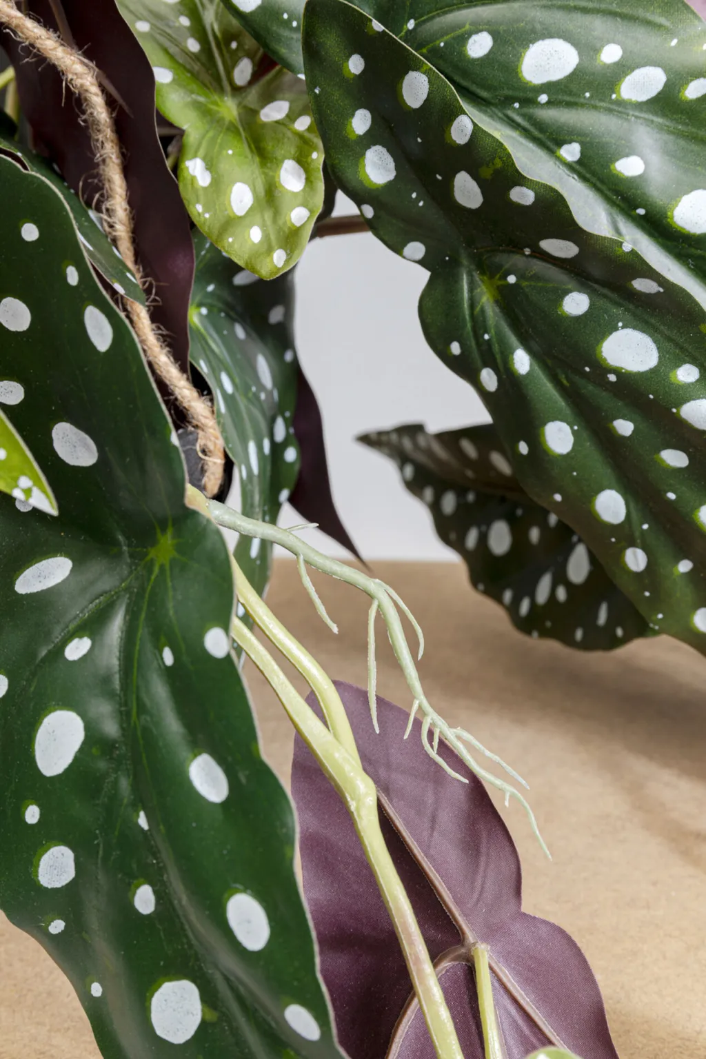 begonia_tekokasvi_cm_3.webp Tekokasvit>KARE Design Begonia Tekokasvi 45cm