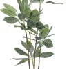 Tekokasvit>KARE Design Calathea Tekokasvi 140cm
