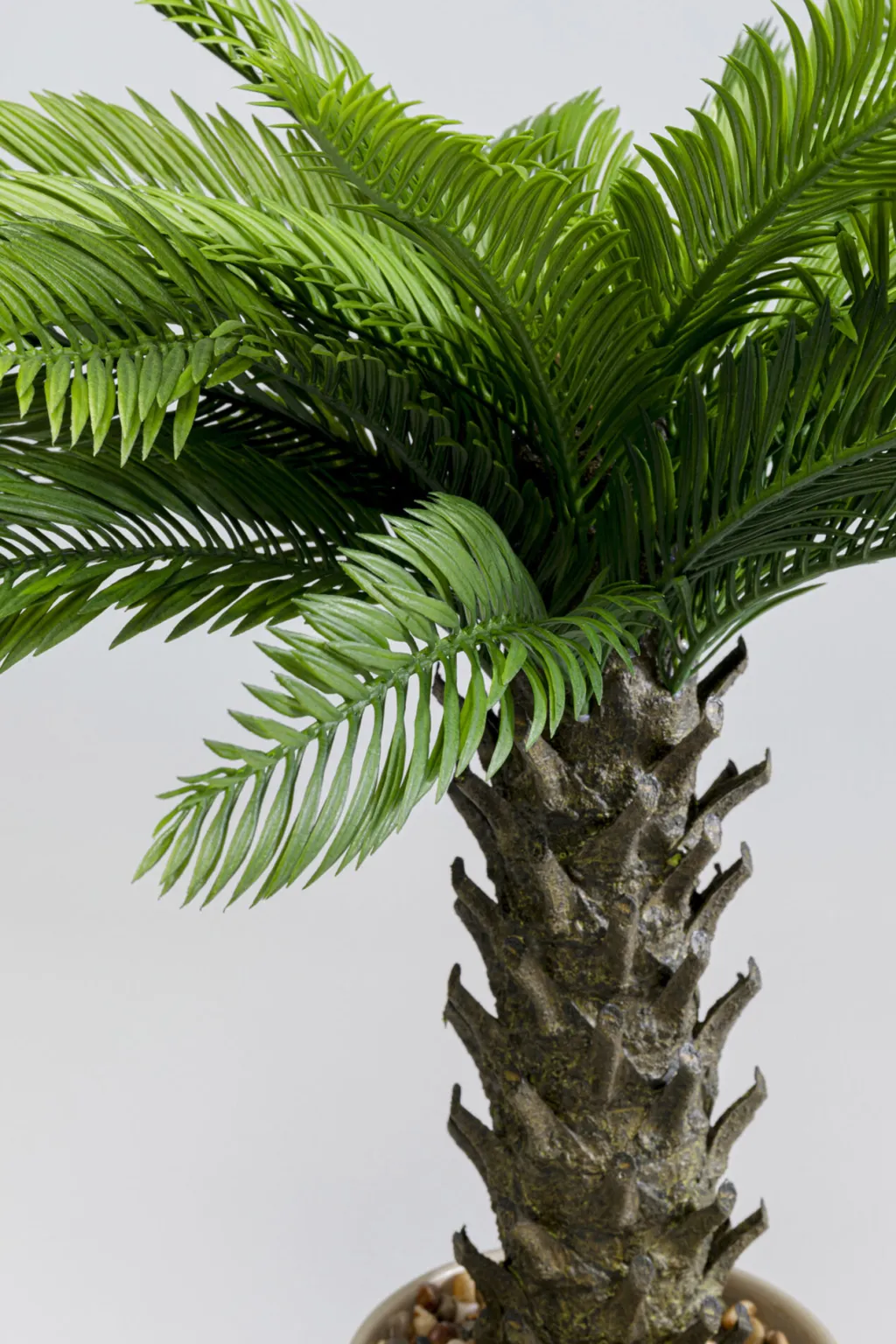 cycas_tekokasvi_cm_0.webp Tekokasvit>KARE Design Cycas Tekokasvi 70cm