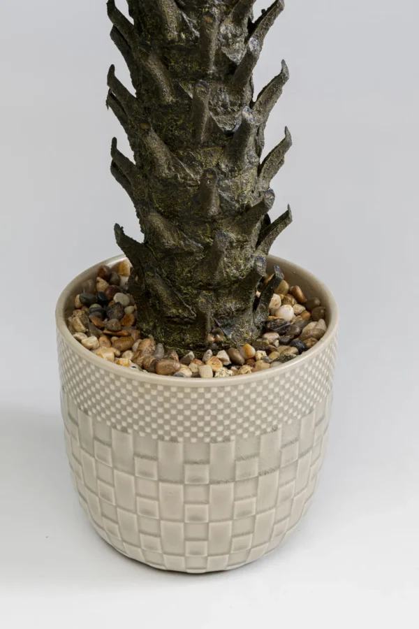 Tekokasvit>KARE Design Cycas Tekokasvi 70cm