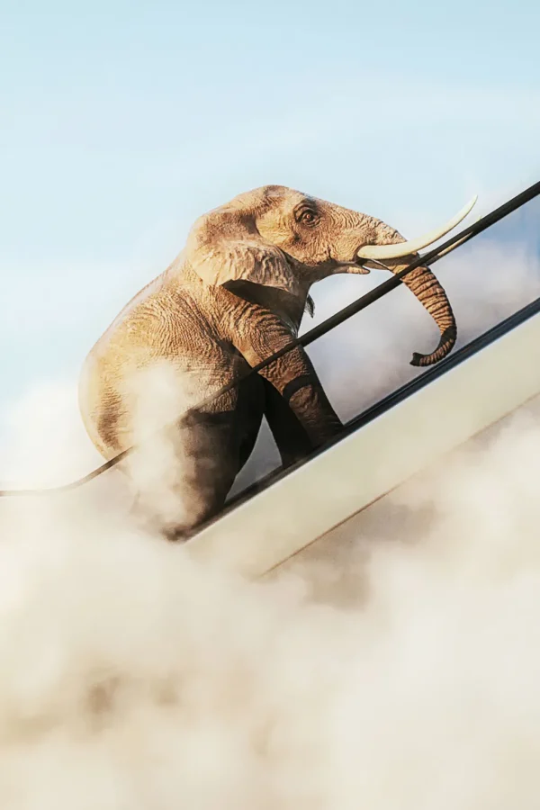 Taulut>KARE Design Elephant In The Sky Elefantti Kehystetty Taulu 150x100cm