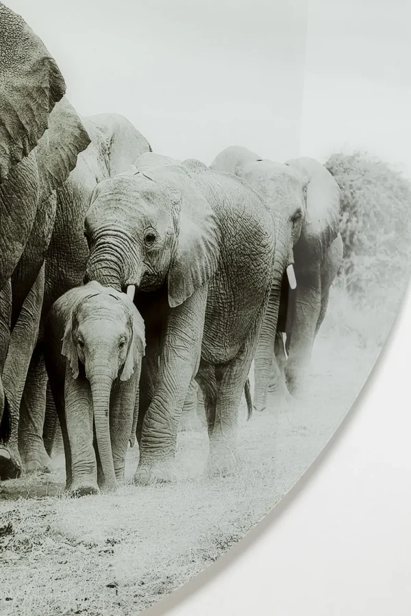 Taulut>KARE Design Elephant Walk - Elefantit, Pyöreä Lasitaulu Ø120cm