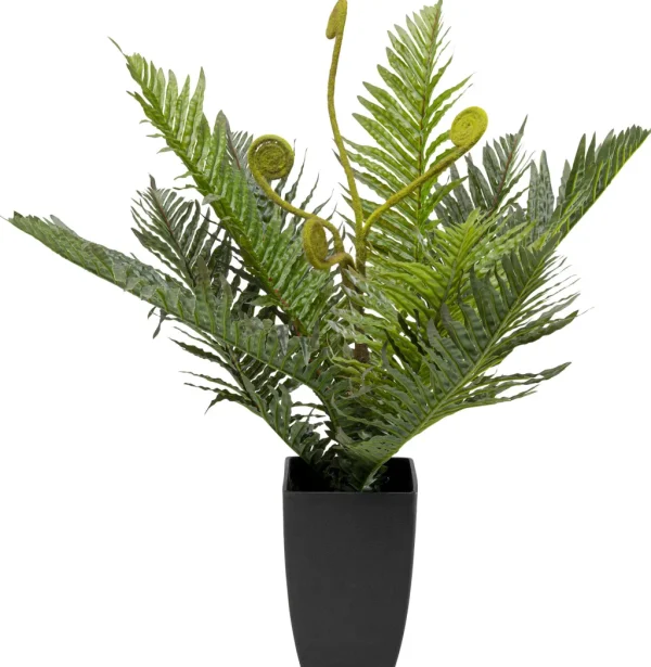 Tekokasvit>KARE Design Farn Saniaininen Tekokasvi 55cm
