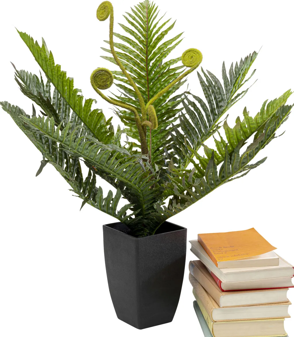farn_saniaininen_tekokasvi_cm_1.webp Tekokasvit>KARE Design Farn Saniaininen Tekokasvi 55cm