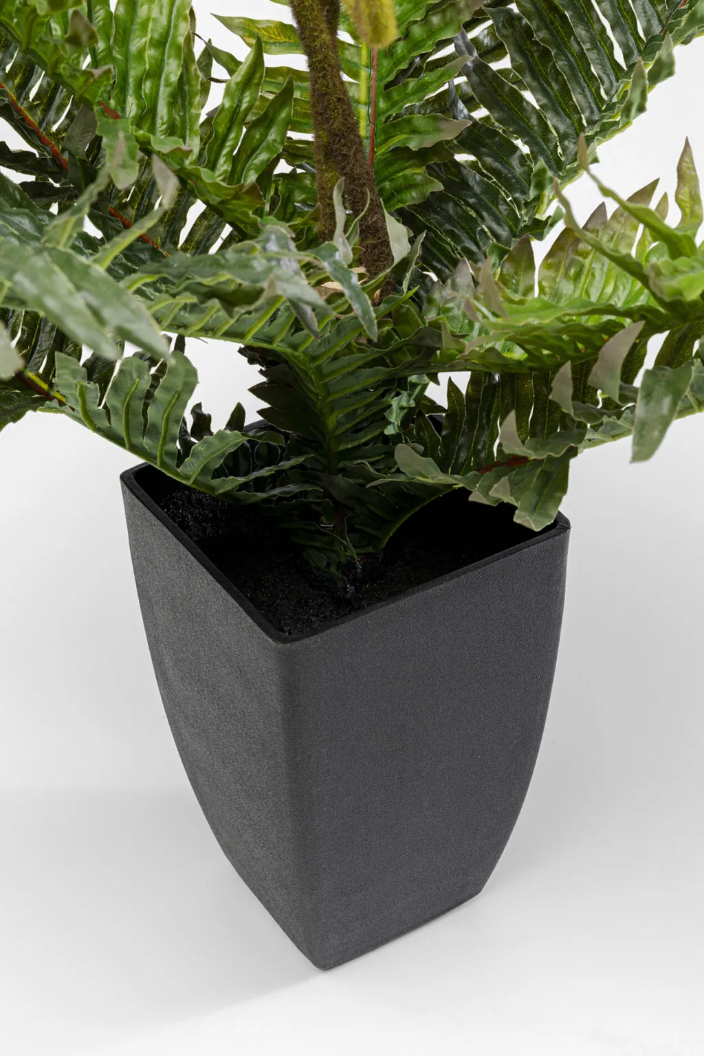 farn_saniaininen_tekokasvi_cm_2.webp Tekokasvit>KARE Design Farn Saniaininen Tekokasvi 55cm