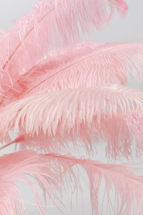 Lattiavalaisimet>KARE Design Feather Palm Lattiavalaisin Pinkki 165cm