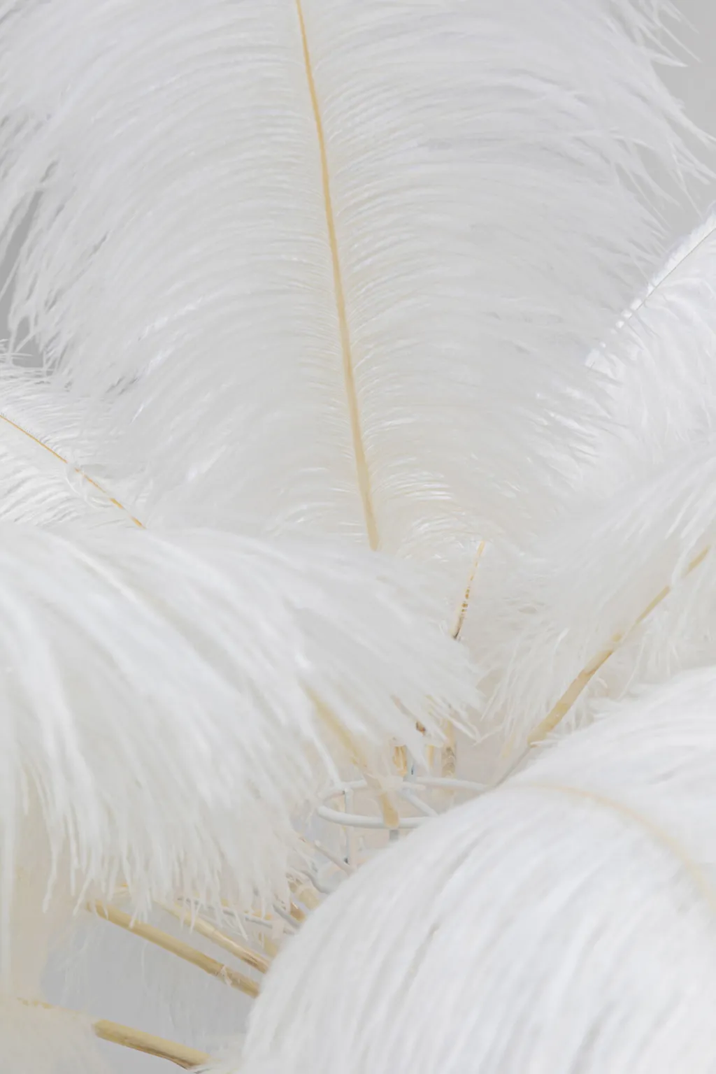 feather_palm_lattiavalaisin_valkoinen_cm_3.webp Lattiavalaisimet>KARE Design Feather Palm Lattiavalaisin Valkoinen 165cm