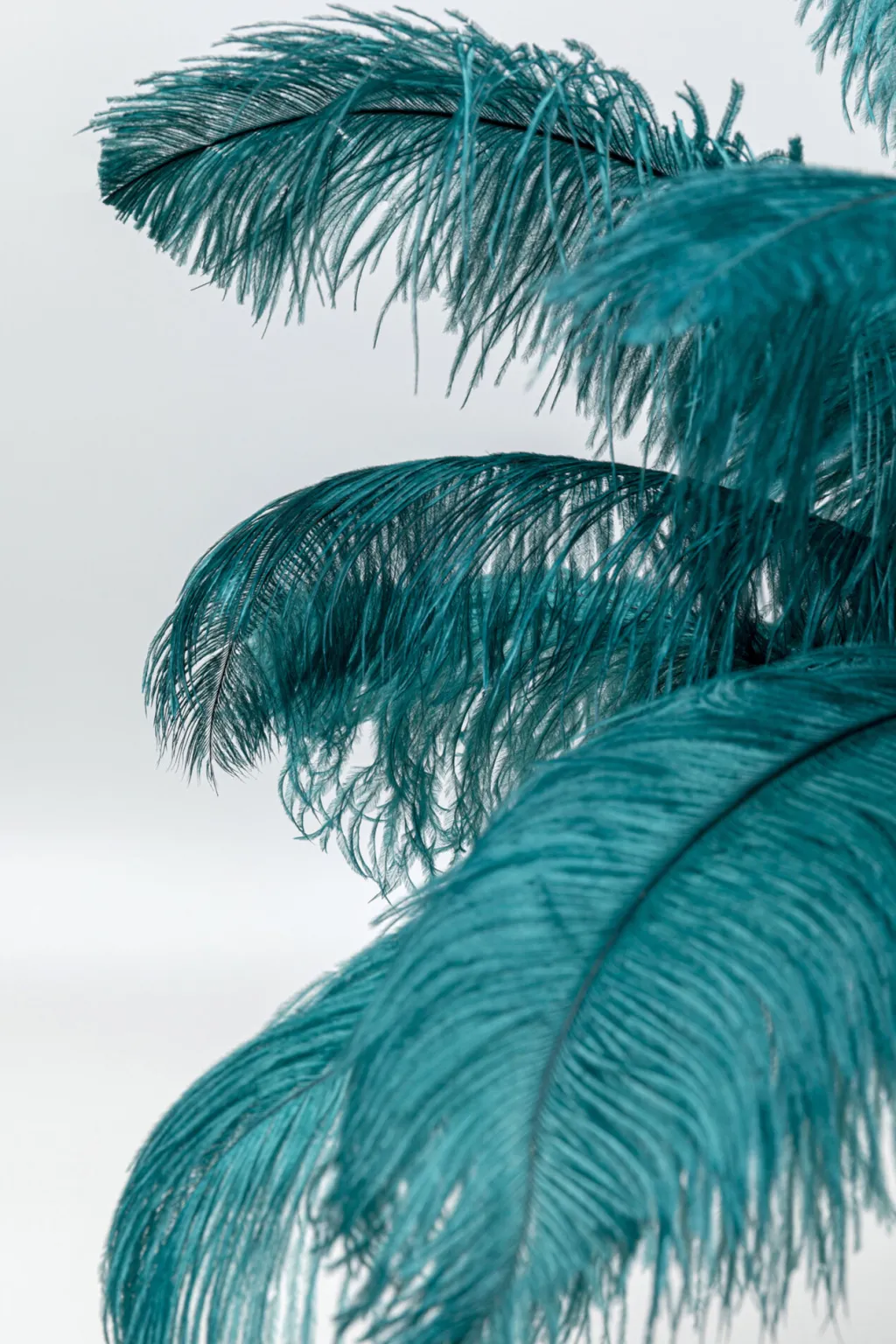 feather_palm_pytvalaisin_vihre_cm_3.webp Pöytävalaisimet>KARE Design Feather Palm Pöytävalaisin Vihreä 60cm