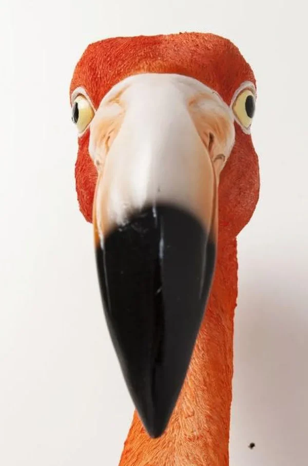 Seinäkoristeet>KARE Design Flamingo Road Seinäkoriste 72cm