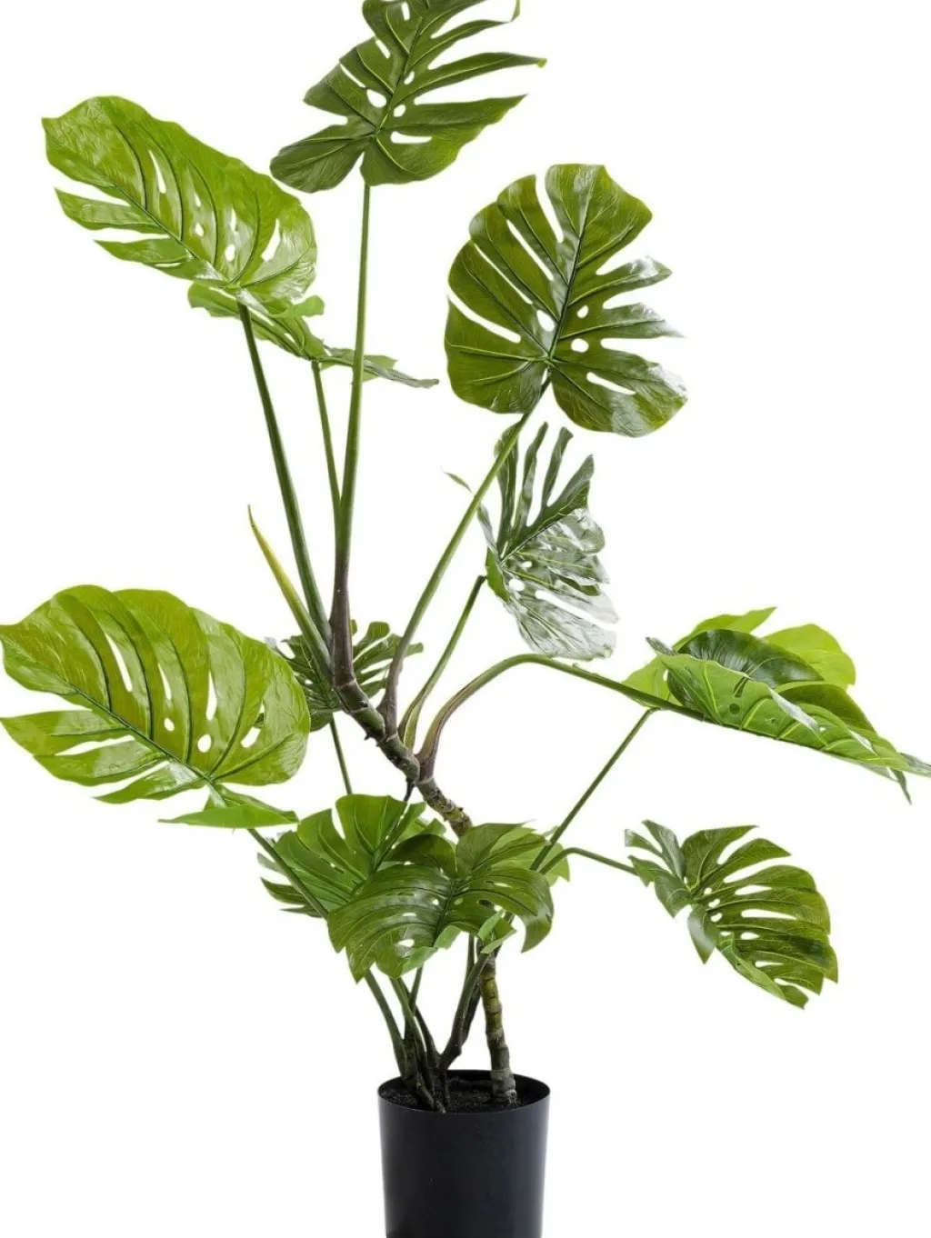monstera_tekokasvi_cm_1.webp Tekokasvit>KARE Design Monstera Tekokasvi 110cm