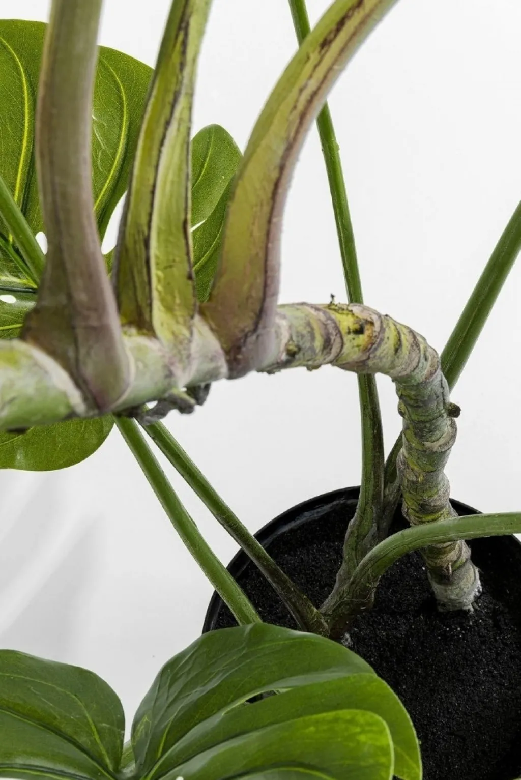 monstera_tekokasvi_cm_2.webp Tekokasvit>KARE Design Monstera Tekokasvi 110cm