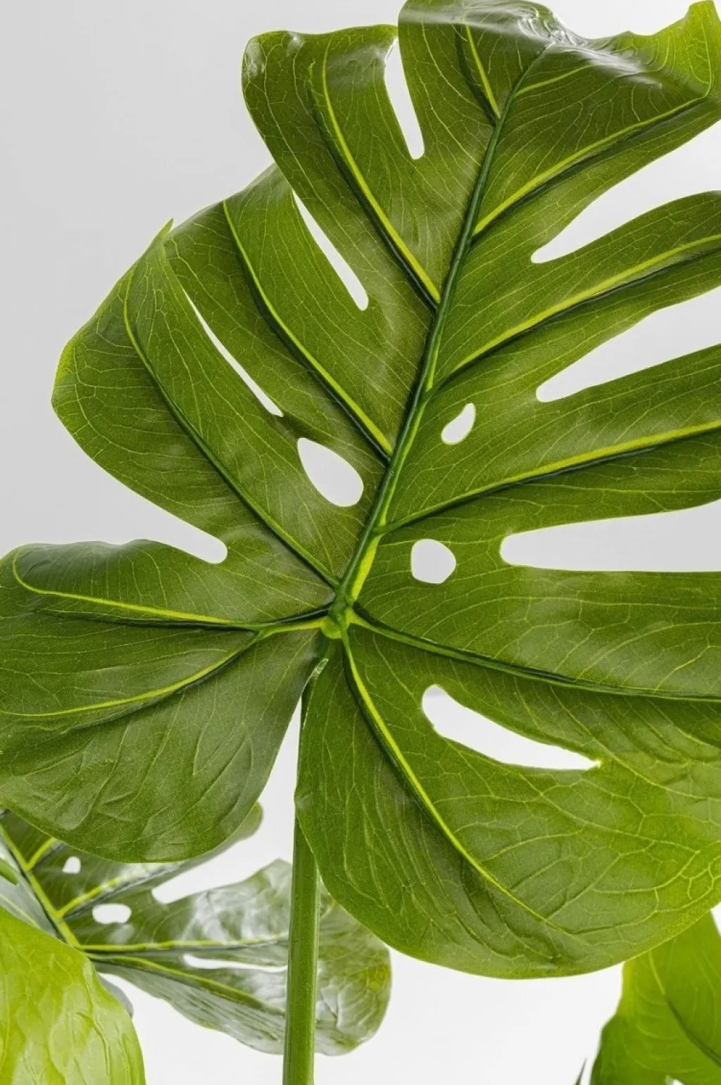 monstera_tekokasvi_cm_3.webp Tekokasvit>KARE Design Monstera Tekokasvi 110cm