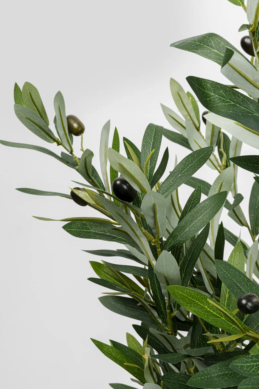 olive_tree_tekokasvi_cm_0.webp Tekokasvit>KARE Design Olive Tree Tekokasvi 150cm