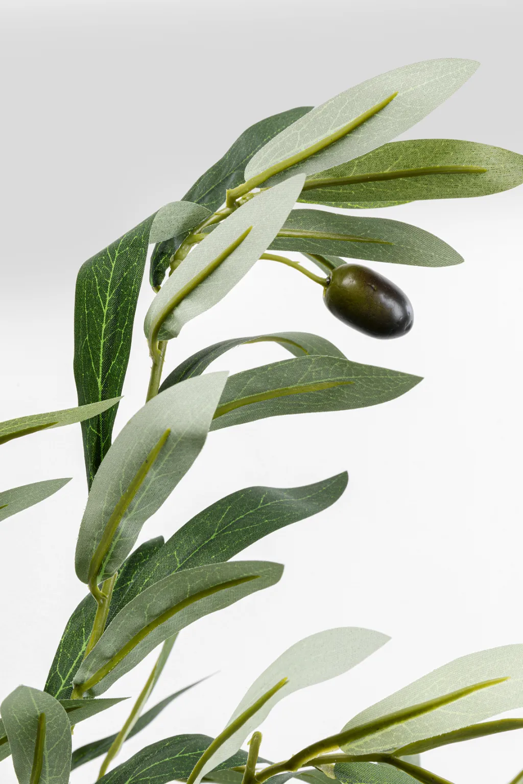 olive_tree_tekokasvi_cm_2.webp Tekokasvit>KARE Design Olive Tree Tekokasvi 150cm