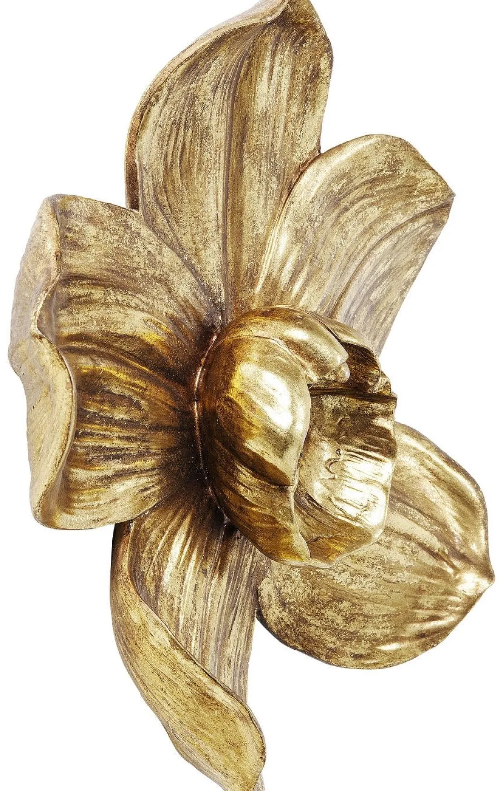 orchid_seinkoriste_kulta_cm_0.webp Seinäkoristeet>KARE Design Orchid Seinäkoriste, Kulta 44cm