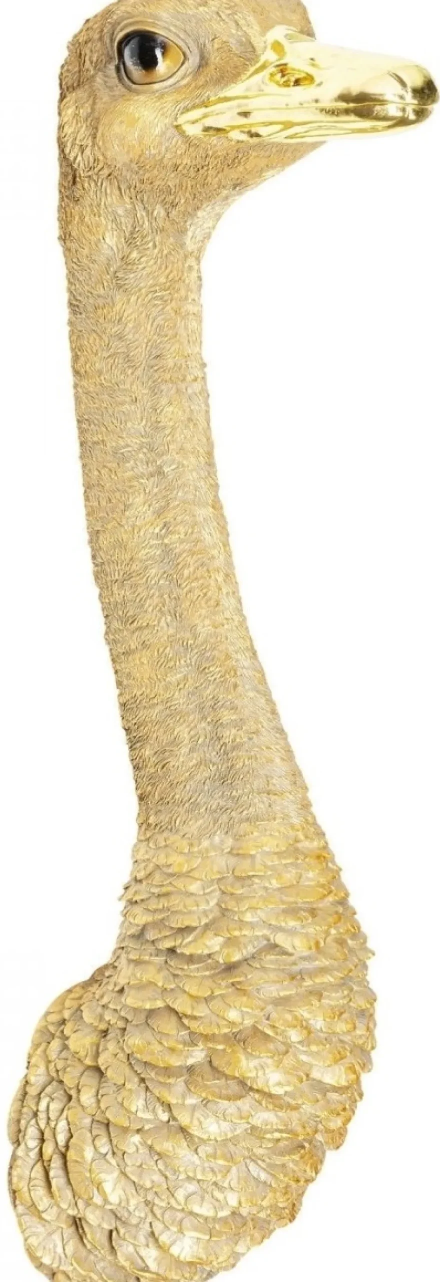 ostrich_strutsi_seinkoriste_kulta_xcm_1.webp Seinäkoristeet>KARE Design Ostrich Strutsi Seinäkoriste, Kulta 19x72cm