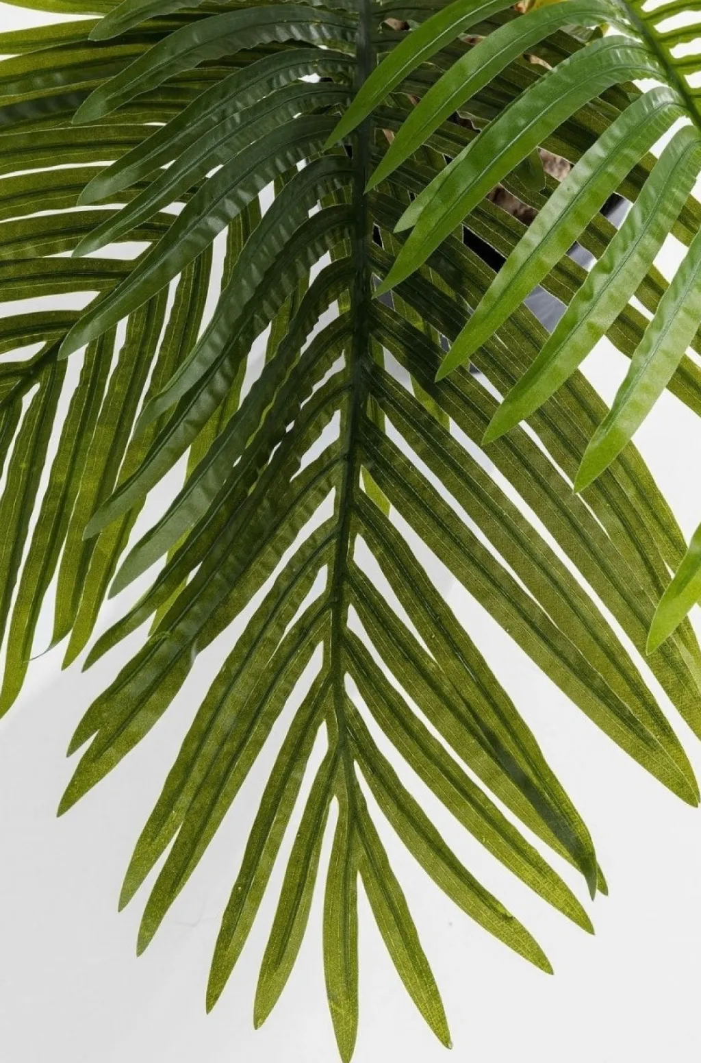 palm_tree_tekokasvi_cm_2.webp Tekokasvit>KARE Design Palm Tree Tekokasvi 190cm