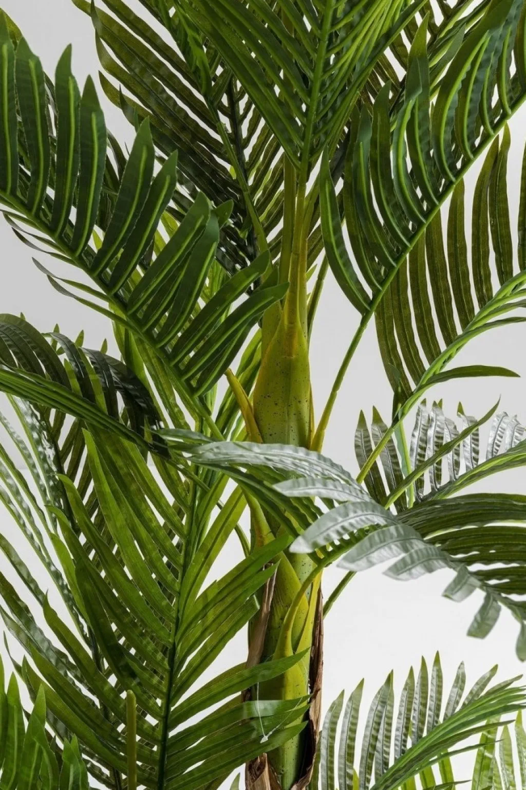 palm_tree_tekokasvi_cm_3.webp Tekokasvit>KARE Design Palm Tree Tekokasvi 190cm