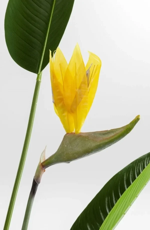 Tekokasvit>KARE Design Paradise Flowers Tekokasvi 190cm