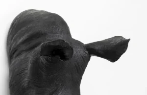 Seinäkoristeet>KARE Design Rhino Head Antique Seinäkoriste, Musta 22x43cm