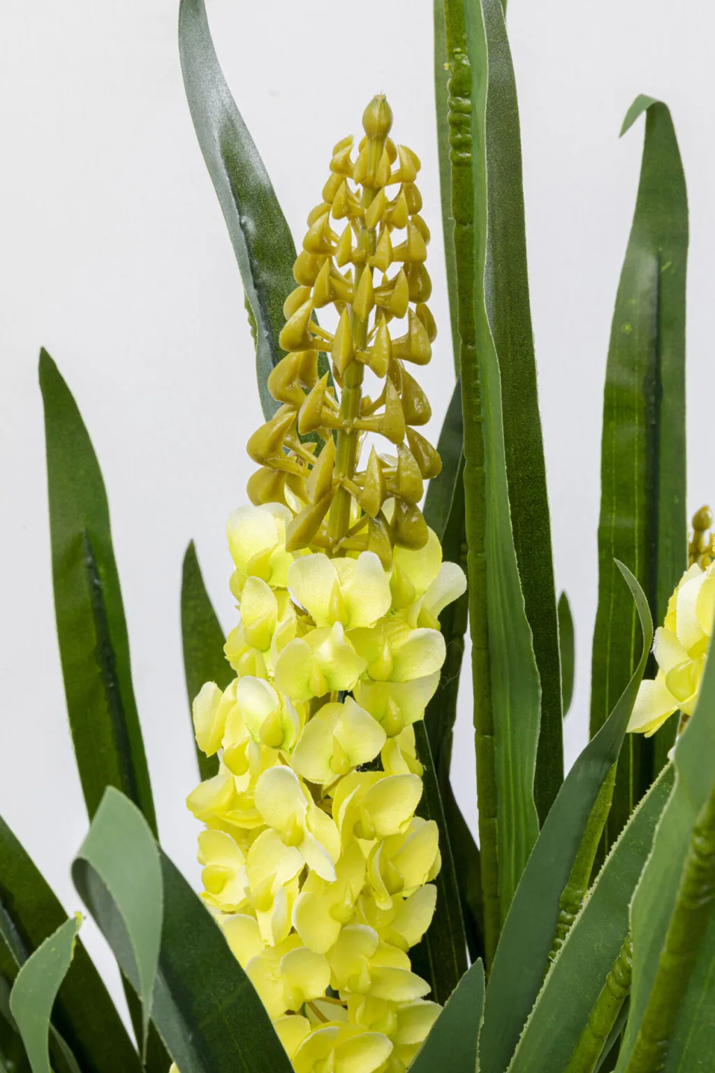 rhynchostylis_tekokasvi_cm_3.webp Tekokasvit>KARE Design Rhynchostylis Tekokasvi 150cm