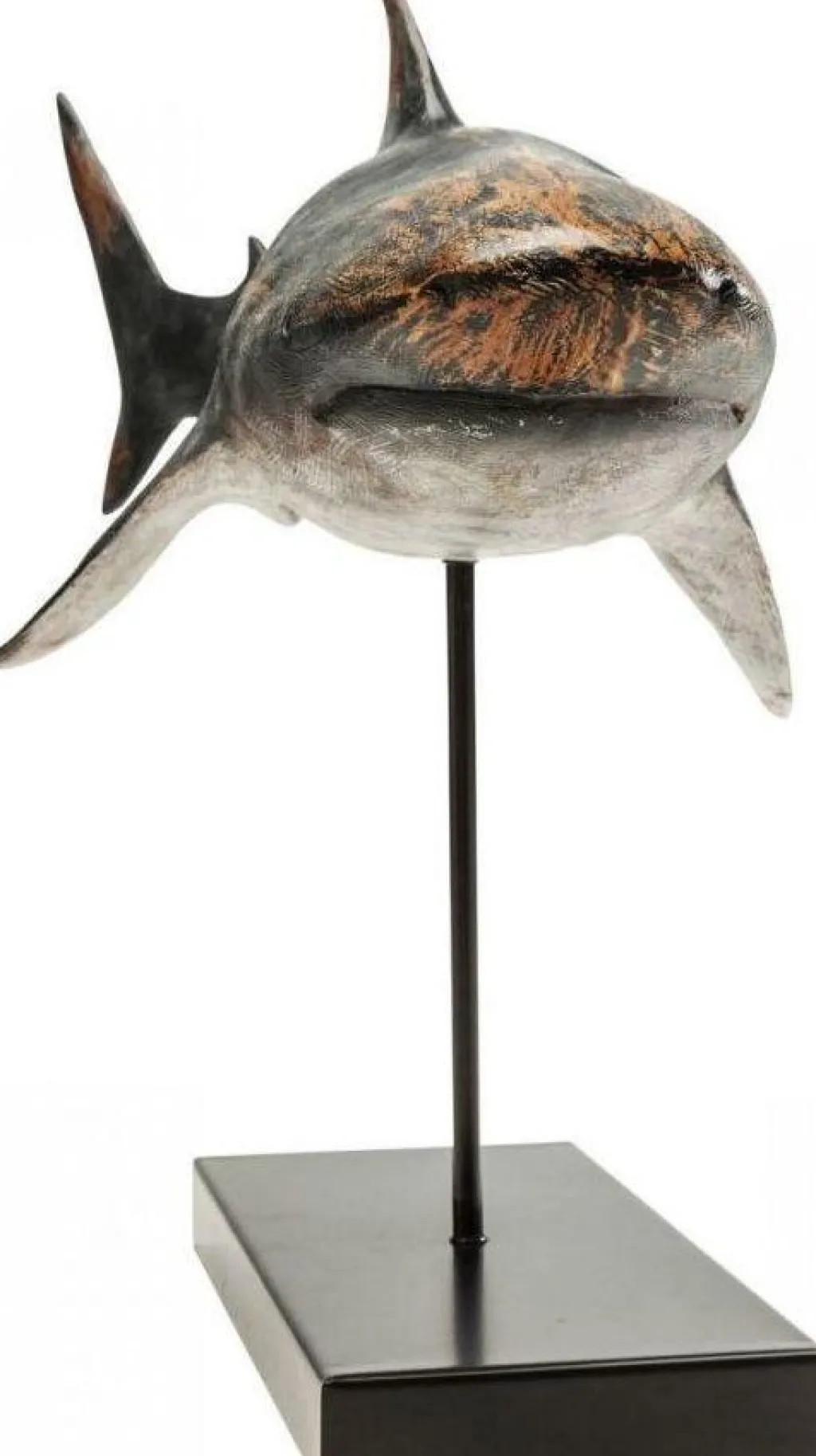 shark_base_hai_koristeesine_cm_2.webp Koriste-Esineet>KARE Design Shark Base Hai Koriste-esine, 59cm