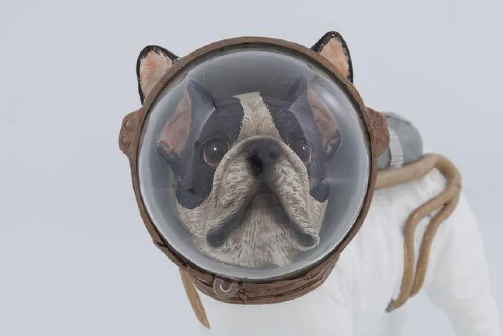 space_dog_avaruuskoira_koristeesine_cm_2.webp Koriste-Esineet>KARE Design Space Dog Avaruuskoira Koriste-esine 21cm