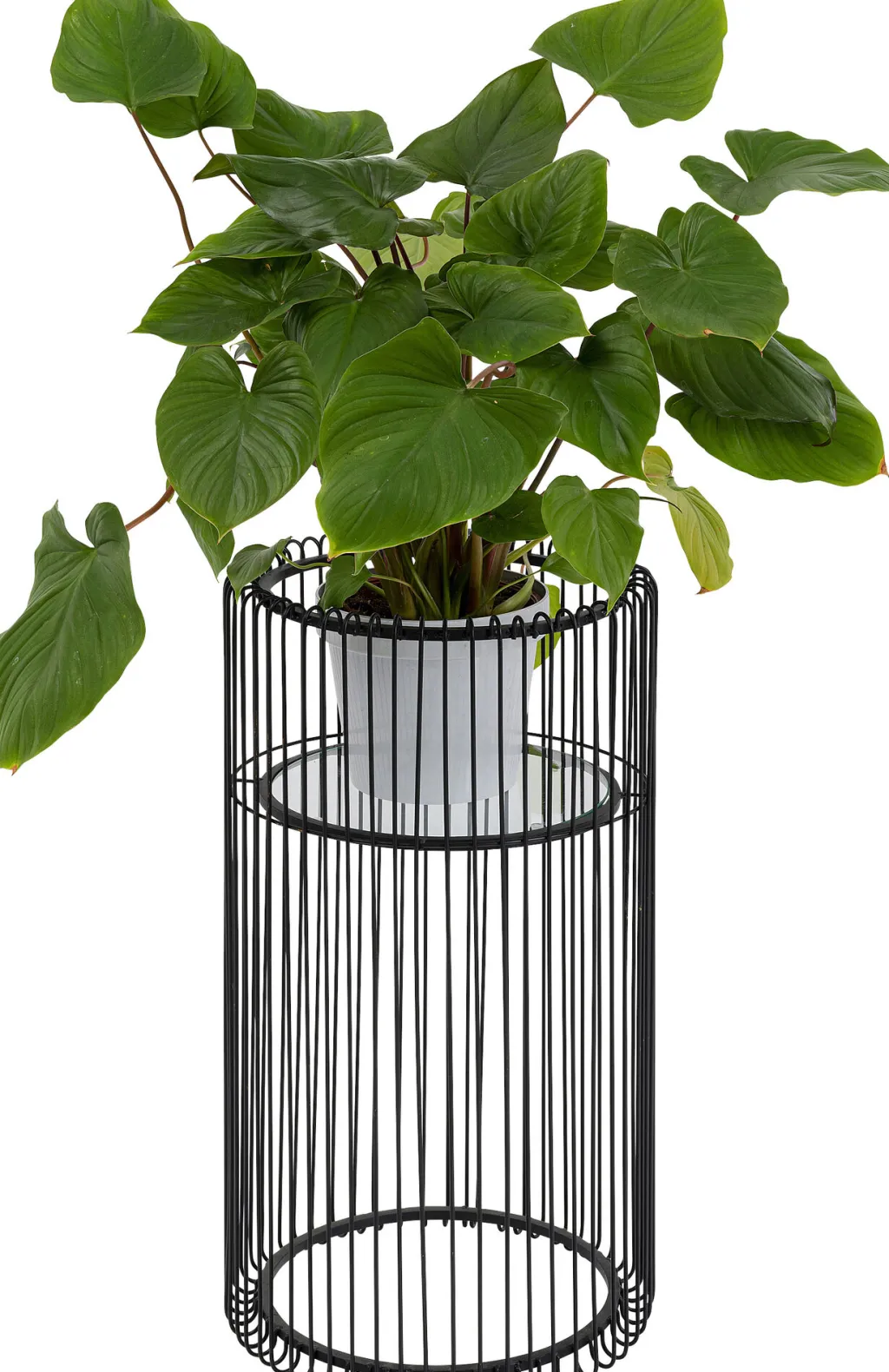 wire_black_kukkaruukku_teline_cm_0.webp Ruukut>KARE Design Wire Black Kukkaruukku Teline 70cm